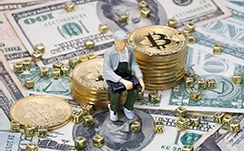 泉州召开全市电网高质量发展促进会